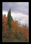 I colori dell'Autunno..1 I colori dell'Autunno..1