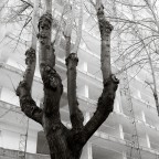 EUR 12 (serie in corso) EUR 12 (serie in corso)