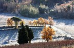 Paesaggio nella brina Paesaggio nella brina