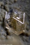 Phillipsite Phillipsite