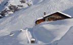 dreaming of a white... dreaming of a white...