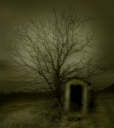 la casa di elfi la casa di elfi