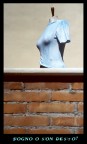 Sogno o son desto?