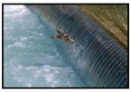 Aqua2 Aqua2
