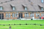 auschwitz auschwitz