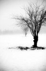 s&m_03 s&m_03