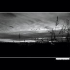 ::: AL CALAR DEL SOLE ::: ::: AL CALAR DEL SOLE :::