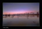 ...l'acqua e il padule ...l'acqua e il padule