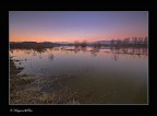 il padule..... l'acqua