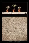 i tre amigos i tre amigos
