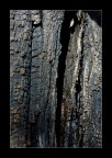 Stone or wood? Stone or wood?