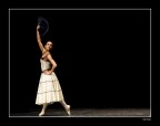 Flamenco !! Flamenco !!