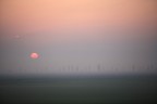 tramonto con nebbia nel delta del po tramonto con nebbia nel delta del po
