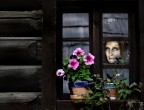 through the window through the window