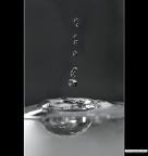 ::: PLUFFF ::: ::: PLUFFF :::