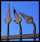 Che state guardando?? Che state guardando??