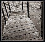 Dove mi porti? (n° zero) Dove mi porti? (n° zero)