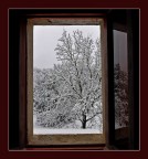 sorpesa mattutina sorpesa mattutina