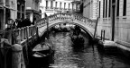 Venezia Venezia