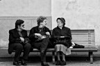 La sai l'ultima? La sai l'ultima?