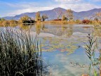 Le torbiere Del lago d'Iseo in autunno Le torbiere Del lago d'Iseo in autunno
