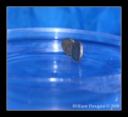 Dancing money Dancing money