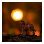 Lupus in fabula Lupus in fabula