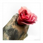 Dolce ricordo Dolce ricordo