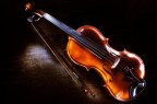 Violino Violino