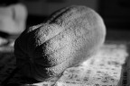Zucca Zucca