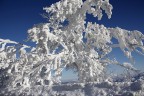 Le fantôme de glace Le fantôme de glace