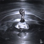 Modigliani Modigliani