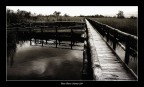 La passeggiata sul lago La passeggiata sul lago