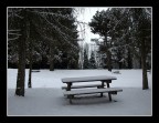 Sarà mica troppo freddo per un picnic ? Sarà mica troppo freddo per un picnic ?