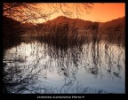 Riflessi nel Lago Riflessi nel Lago