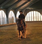 gara a cavallo gara a cavallo