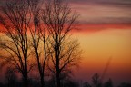 Sensation in the evening Sensation in the evening