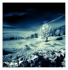 strani mondi strani mondi