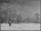 ... meno quindici (Anzų - BL) ... meno quindici (Anzų - BL)
