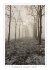 Il gelo dell'INVERNO Il gelo dell'INVERNO