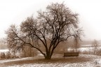 Inverno Inverno