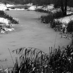 Neve al parco Neve al parco