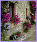 The-spring-of-mine The-spring-of-mine