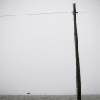 La Mai Finita 2, Viadana 2009 La Mai Finita 2, Viadana 2009