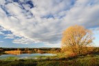 palude palude