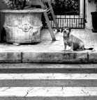 solitudine solitudine