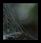 Spazio ricamato... Spazio ricamato...