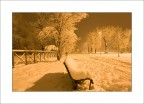 white park... white park...