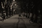 snow chronicles: il viale, la fresa e la bici snow chronicles: il viale, la fresa e la bici