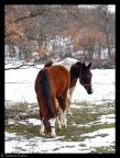 INCONTRI NELLA NEVE